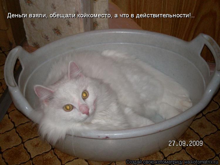 Деньги взяли, обещали койкоместо, а что в действительности!..... Котоматрица: Деньги взяли, обещали койкоместо, а что в действительности!..