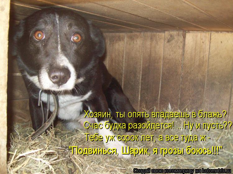 Хозяин, ты опять впадаешь в блажь? Счас будка разойдется! ...Ну и пусть?? Тебе уж сорок лет, а все ту... Котоматрица: Хозяин, ты опять впадаешь в блажь? Счас будка разойдется! ...Ну и пусть?? Тебе уж сорок лет, а все туда ж - "Подвинься, Шарик, я грозы боюсь!!!"