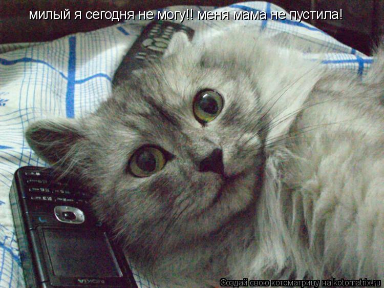 милый я сегодня не могу!! меня мама не пустила!... Котоматрица: милый я сегодня не могу!! меня мама не пустила!