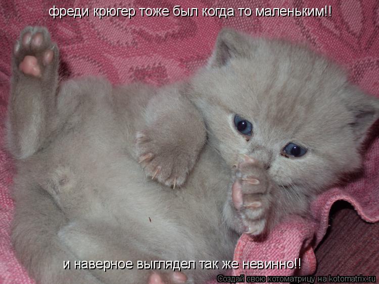 фреди крюгер тоже был когда то маленьким!! и наверное выглядел так же невинно!!... Котоматрица: фреди крюгер тоже был когда то маленьким!! и наверное выглядел так же невинно!!