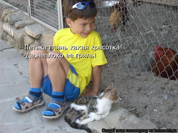 -Петька глянь какая красотка! -Да,неплохо ее гриль!... Котоматрица: -Петька глянь какая красотка! -Да,неплохо ее гриль!