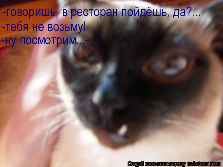 -говоришь, в ресторан пойдёшь, да?... -тебя не возьму! -ну посмотрим...-_-... Котоматрица: -говоришь, в ресторан пойдёшь, да?... -тебя не возьму! -ну посмотрим...-_-