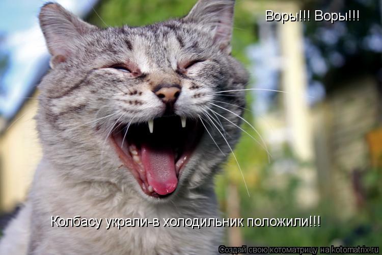 Воры!!! Воры!!! Колбасу украли-в холодильник положили!!!... Котоматрица: Воры!!! Воры!!! Колбасу украли-в холодильник положили!!!