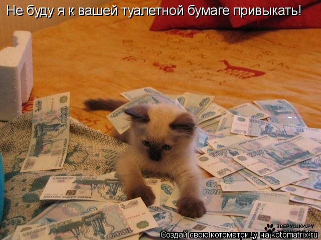 Не буду я к вашей туалетной бумаге привыкать!... Котоматрица: Не буду я к вашей туалетной бумаге привыкать!