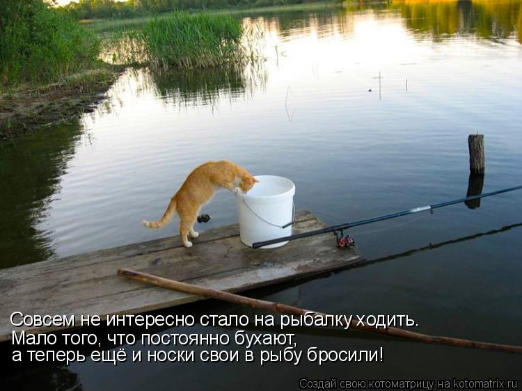 Совсем не интересно стало на рыбалку ходить. Мало того, что постоянно бухают, а теперь ещё и носки св... Котоматрица: Совсем не интересно стало на рыбалку ходить. Мало того, что постоянно бухают, а теперь ещё и носки свои в рыбу бросили!