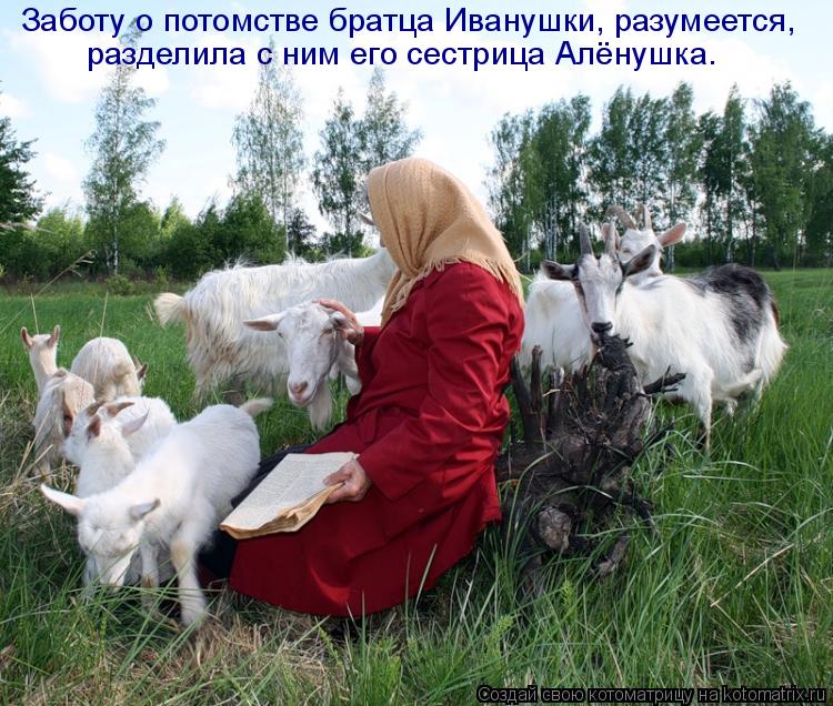 Котоматрица: Заботу о потомстве братца Иванушки, разумеется, разделила с ним его сестрица Алёнушка.