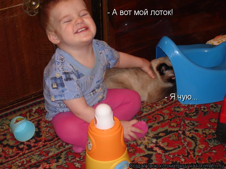 - Я чую... - А вот мой лоток!... Котоматрица: - Я чую... - А вот мой лоток!