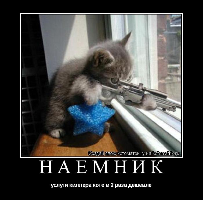 наёмник услуги киллера коте в 2 раза дешевле... Котоматрица: наёмник услуги киллера коте в 2 раза дешевле