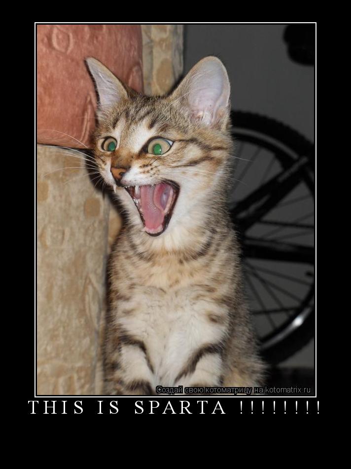 This is Sparta !!!!!!!! ... Котоматрица: This is Sparta !!!!!!!!