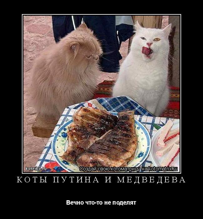 Коты Путина и Медведева Вечно что-то не поделят... Котоматрица: Коты Путина и Медведева Вечно что-то не поделят
