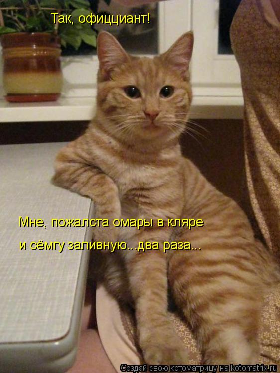 Так, офицциант! Мне, пожалста омары в кляре и сёмгу заливную...два раза...... Котоматрица: Так, офицциант! Мне, пожалста омары в кляре и сёмгу заливную...два раза...