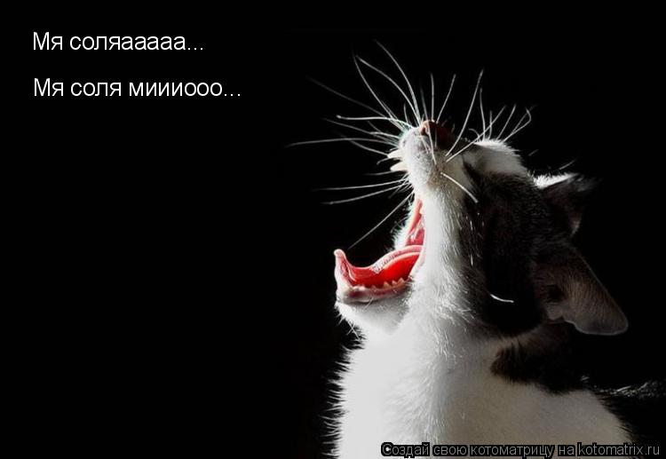 Мя соляааааа... Мя соля миииооо...... Котоматрица: Мя соляааааа... Мя соля миииооо...