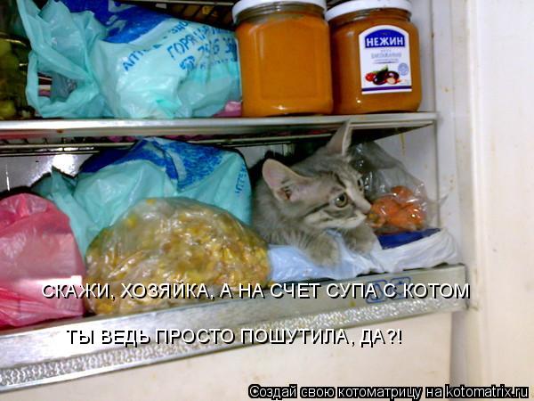 СКАЖИ, ХОЗЯЙКА, А НА СЧЕТ СУПА С КОТОМ ТЫ ВЕДЬ ПРОСТО ПОШУТИЛА, ДА?!... Котоматрица: СКАЖИ, ХОЗЯЙКА, А НА СЧЕТ СУПА С КОТОМ ТЫ ВЕДЬ ПРОСТО ПОШУТИЛА, ДА?!