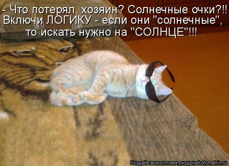 - Что потерял, хозяин? Солнечные очки?!! Включи ЛОГИКУ - если они "солнечные", то искать нужно на "СО... Котоматрица: - Что потерял, хозяин? Солнечные очки?!! Включи ЛОГИКУ - если они "солнечные", то искать нужно на "СОЛНЦЕ"!!!