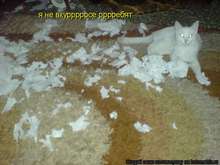я не вкурррррсе рррребят... Котоматрица: я не вкурррррсе рррребят