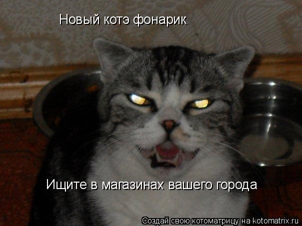 Новый котэ фонарик Ищите в магазинах вашего города... Котоматрица: Новый котэ фонарик Ищите в магазинах вашего города