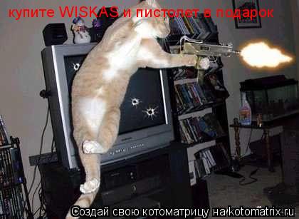 купите WISKAS и пистолет в подарок... Котоматрица: купите WISKAS и пистолет в подарок