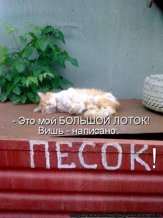 - Это мой БОЛЬШОЙ ЛОТОК! Вишь - написано: !... Котоматрица: - Это мой БОЛЬШОЙ ЛОТОК! Вишь - написано: !