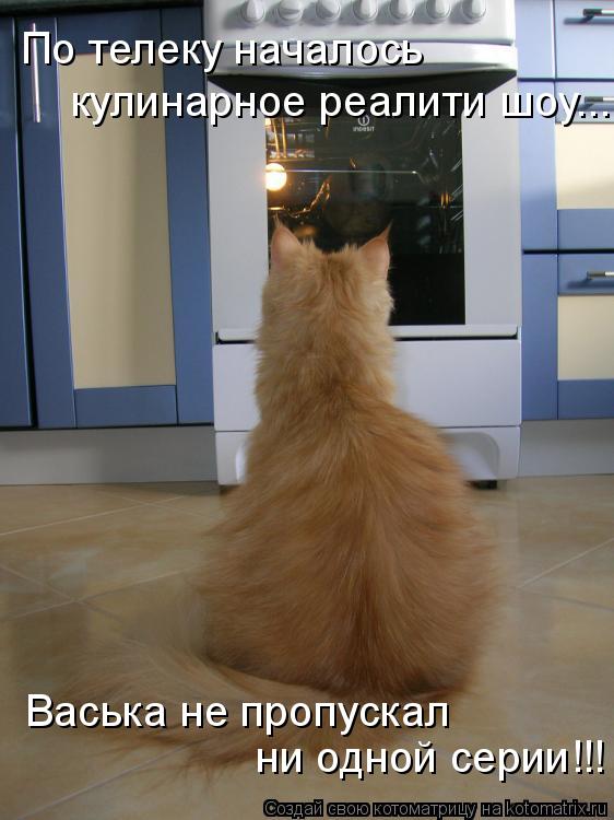 По телеку началось ни одной серии!!! кулинарное реалити шоу... Васька не пропускал... Котоматрица: По телеку началось ни одной серии!!! кулинарное реалити шоу... Васька не пропускал