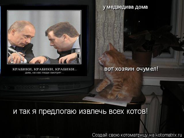 и так я предлогаю извлечь всех котов! у медведива дома вот хозяин очумел!... Котоматрица: и так я предлогаю извлечь всех котов! у медведива дома вот хозяин очумел!