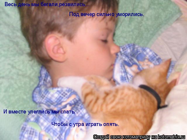 Весь день мы бегали,резвились... Под вечер сильно уморились. И вместе улеглись мы спать, Чтобы с утра... Котоматрица: Весь день мы бегали,резвились... Под вечер сильно уморились. И вместе улеглись мы спать, Чтобы с утра играть опять.