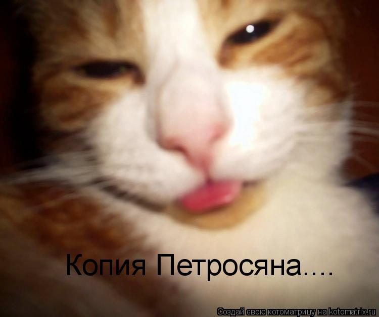 Копия Петросяна....... Котоматрица: Копия Петросяна....