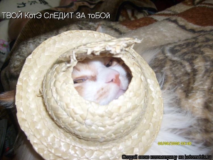 ТВОЙ КотЭ СлЕДИТ ЗА тоБОй... Котоматрица: ТВОЙ КотЭ СлЕДИТ ЗА тоБОй