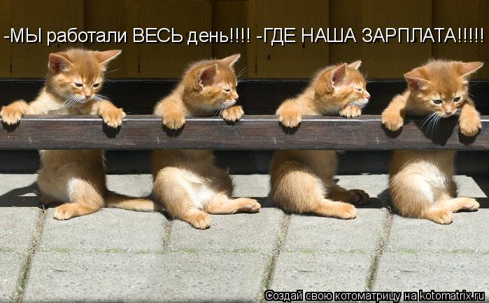 -МЫ работали ВЕСЬ день!!!! -ГДЕ НАША ЗАРПЛАТА!!!!!... Котоматрица: -МЫ работали ВЕСЬ день!!!! -ГДЕ НАША ЗАРПЛАТА!!!!!
