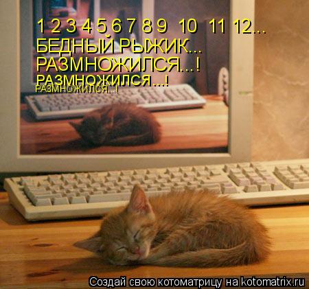 1 2 3 4 5 6 7 8 9 10 11 12... БЕДНЫЙ РЫЖИК... РАЗМНОЖИЛСЯ...! РАЗМНОЖИЛСЯ...! РАЗМНОЖИЛСЯ...!... Котоматрица: 1 2 3 4 5 6 7 8 9 10 11 12... БЕДНЫЙ РЫЖИК... РАЗМНОЖИЛСЯ...! РАЗМНОЖИЛСЯ...! РАЗМНОЖИЛСЯ...!