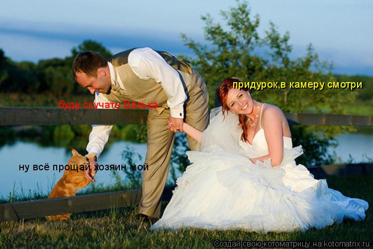 ну всё прощай хозяин мой буду скучать Васька придурок,в камеру смотри... Котоматрица: ну всё прощай хозяин мой буду скучать Васька придурок,в камеру смотри