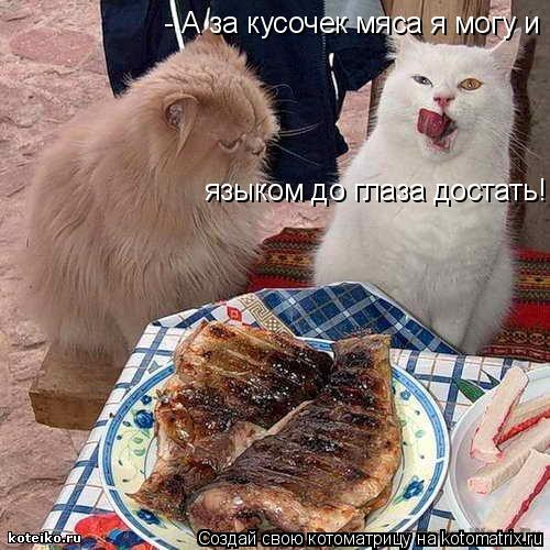 - А за кусочек мяса я могу и языком до глаза достать!... Котоматрица: - А за кусочек мяса я могу и языком до глаза достать!