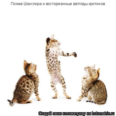 Поэма Шекспира и восторженные взгляды критиков:... Котоматрица: Поэма Шекспира и восторженные взгляды критиков:
