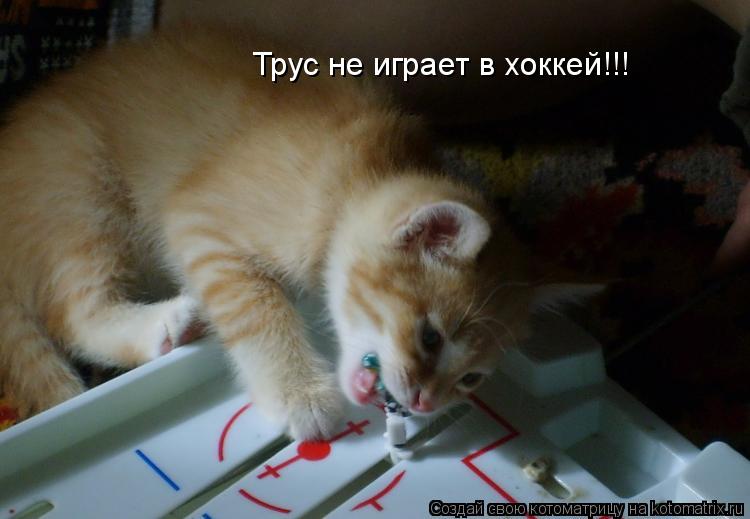Трус не играет в хоккей!!!... Котоматрица: Трус не играет в хоккей!!!