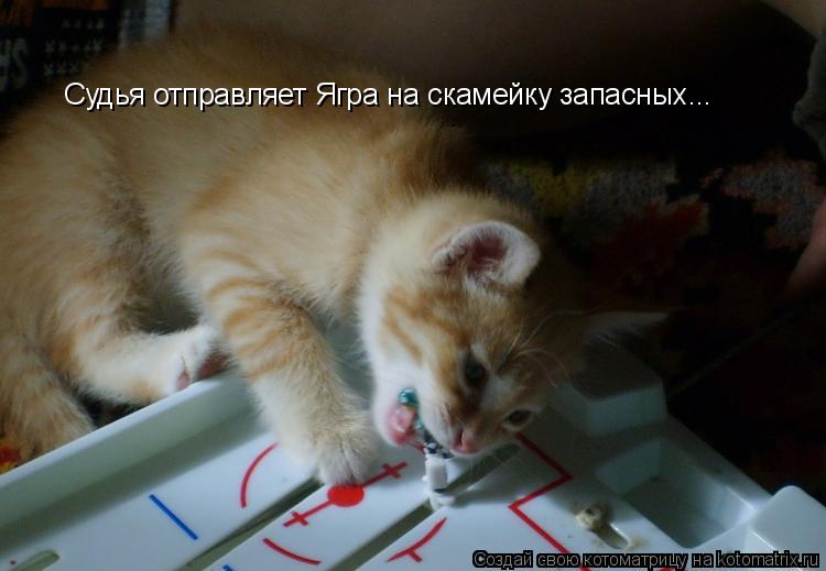 Судья отправляет Ягра на скамейку запасных...... Котоматрица: Судья отправляет Ягра на скамейку запасных...