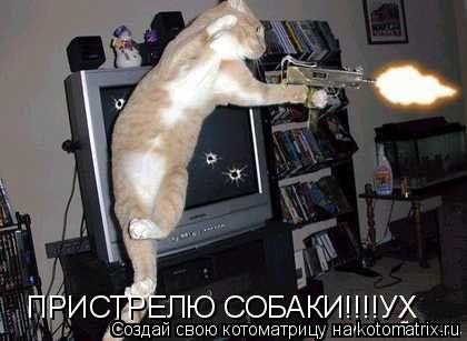 ПРИСТРЕЛЮ СОБАКИ!!!!УХ... Котоматрица: ПРИСТРЕЛЮ СОБАКИ!!!!УХ