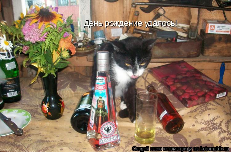 День рождение удалось!... Котоматрица: День рождение удалось!