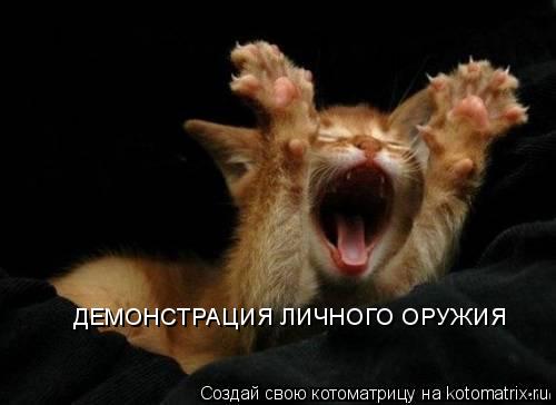 ДЕМОНСТРАЦИЯ ЛИЧНОГО ОРУЖИЯ... Котоматрица: ДЕМОНСТРАЦИЯ ЛИЧНОГО ОРУЖИЯ