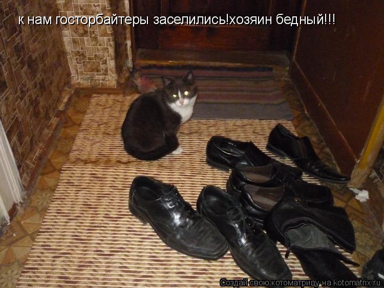 к нам госторбайтеры заселились!хозяин бедный!!!... Котоматрица: к нам госторбайтеры заселились!хозяин бедный!!!