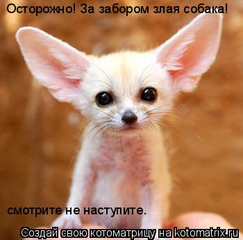 Осторожно! За забором злая собака! смотрите не наступите.... Котоматрица: Осторожно! За забором злая собака! смотрите не наступите.