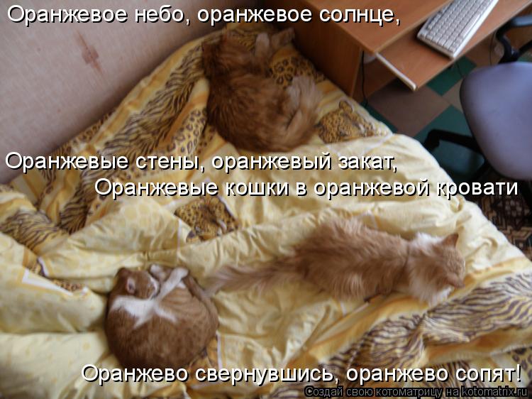 Оранжевое небо, оранжевое солнце, Оранжевые стены, оранжевый закат, Оранжевые кошки в оранжевой крова... Котоматрица: Оранжевое небо, оранжевое солнце, Оранжевые стены, оранжевый закат, Оранжевые кошки в оранжевой кровати Оранжево свернувшись, оранжево соп