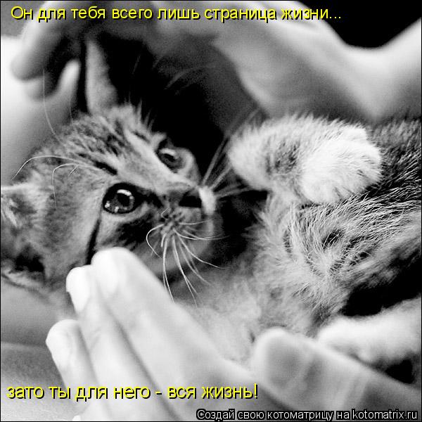 Он для тебя всего лишь страница жизни... зато ты для него - вся жизнь!... Котоматрица: Он для тебя всего лишь страница жизни... зато ты для него - вся жизнь!