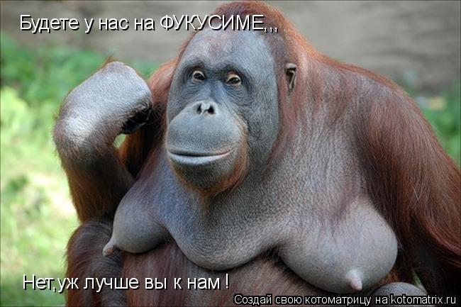 Будете у нас на ФУКУСИМЕ,,, Нет,уж лучше вы к нам !... Котоматрица: Будете у нас на ФУКУСИМЕ,,, Нет,уж лучше вы к нам !