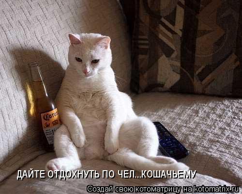 ДАЙТЕ ОТДОХНУТЬ ПО ЧЕЛ...КОШАЧЬЕМУ... Котоматрица: ДАЙТЕ ОТДОХНУТЬ ПО ЧЕЛ...КОШАЧЬЕМУ
