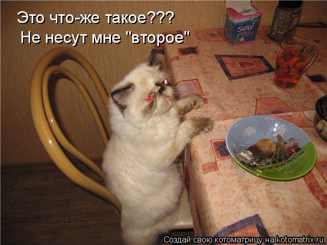 Это что-же такое??? Не несут мне "второе"... Котоматрица: Это что-же такое??? Не несут мне "второе"