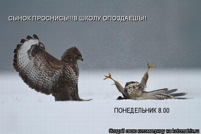 СЫНОК ПРОСНИСЬ!!!В ШКОЛУ ОПОЗДАЕШЬ!! ПОНЕДЕЛЬНИК 8.00... Котоматрица: СЫНОК ПРОСНИСЬ!!!В ШКОЛУ ОПОЗДАЕШЬ!! ПОНЕДЕЛЬНИК 8.00