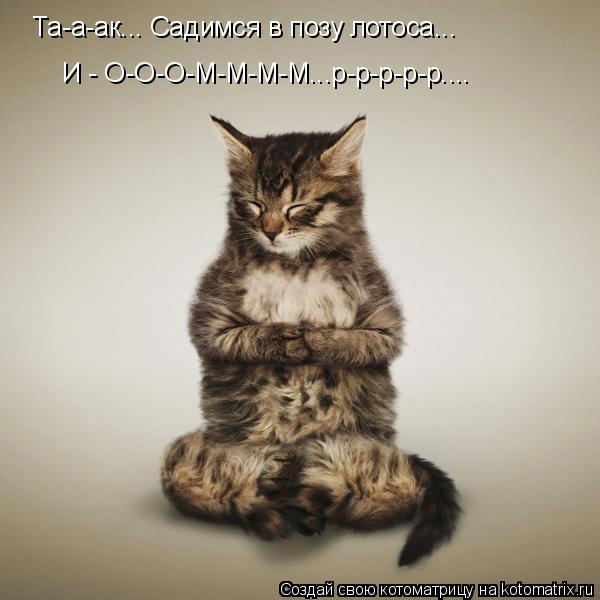 Та-а-ак... Садимся в позу лотоса... И - О-О-О-М-М-М-М...р-р-р-р-р....... Котоматрица: Та-а-ак... Садимся в позу лотоса... И - О-О-О-М-М-М-М...р-р-р-р-р....