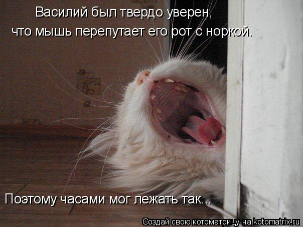 Василий был твердо уверен, что мышь перепутает его рот с норкой. Поэтому часами мог лежать так...... Котоматрица: Василий был твердо уверен, что мышь перепутает его рот с норкой. Поэтому часами мог лежать так...