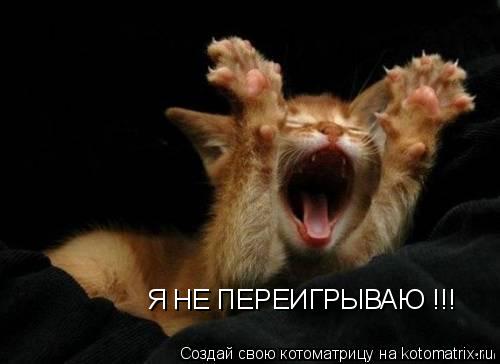 Я НЕ ПЕРЕИГРЫВАЮ !!!... Котоматрица: Я НЕ ПЕРЕИГРЫВАЮ !!!