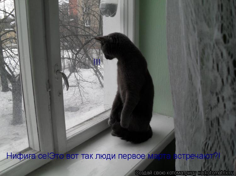 Нифига се!Это вот так люди первое марта встречают?! !!!... Котоматрица: Нифига се!Это вот так люди первое марта встречают?! !!!