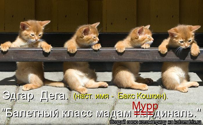 Эдгар Дега. "Балетный класс мадам Кардиналь." (наст. имя - Бакс Кошкин). === Мурр... Котоматрица: Эдгар Дега. "Балетный класс мадам Кардиналь." (наст. имя - Бакс Кошкин). === Мурр